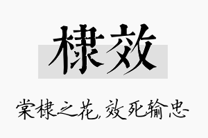 棣效名字的寓意及含义