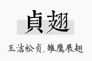 贞翅名字的寓意及含义