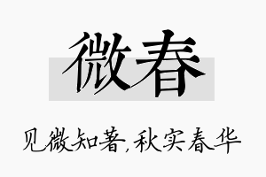 微春名字的寓意及含义