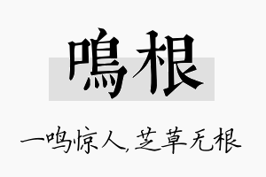 鸣根名字的寓意及含义