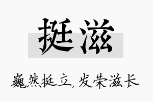 挺滋名字的寓意及含义