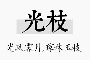 光枝名字的寓意及含义