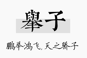 举子名字的寓意及含义