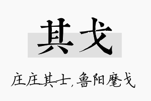 其戈名字的寓意及含义