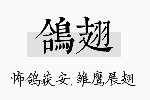 鸽翅名字的寓意及含义