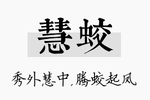 慧蛟名字的寓意及含义