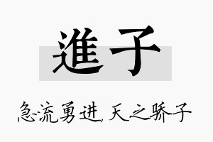 进子名字的寓意及含义