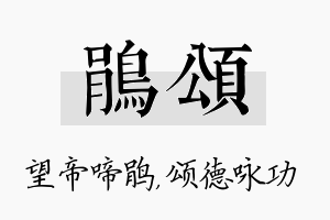 鹃颂名字的寓意及含义