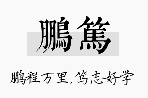 鹏笃名字的寓意及含义