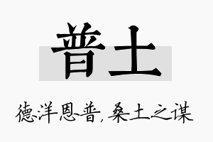 普土名字的寓意及含义