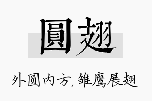 圆翅名字的寓意及含义