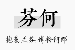 芬何名字的寓意及含义