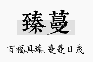 臻蔓名字的寓意及含义