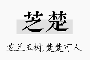 芝楚名字的寓意及含义