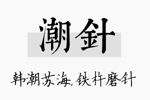 潮针名字的寓意及含义