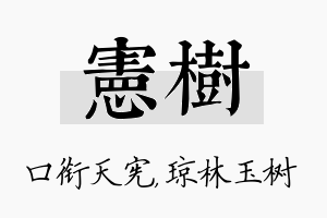 宪树名字的寓意及含义