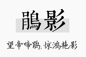 鹃影名字的寓意及含义