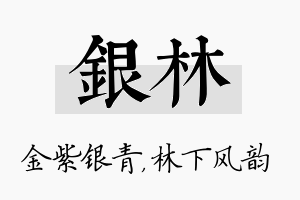 银林名字的寓意及含义