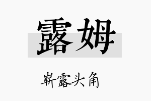 露姆名字的寓意及含义