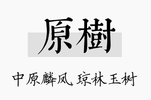 原树名字的寓意及含义