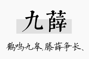 九薛名字的寓意及含义