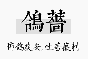 鸽蔷名字的寓意及含义