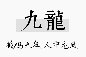 九龙名字的寓意及含义