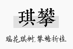 琪攀名字的寓意及含义