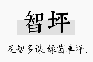 智坪名字的寓意及含义