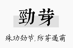 劲芽名字的寓意及含义