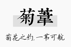 菊苇名字的寓意及含义