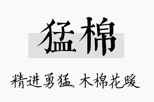 猛棉名字的寓意及含义