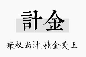 计金名字的寓意及含义