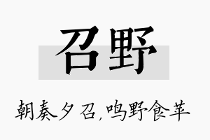 召野名字的寓意及含义