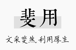 斐用名字的寓意及含义