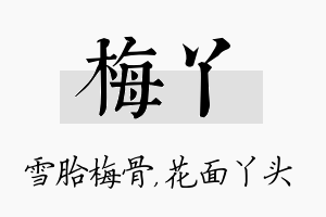 梅丫名字的寓意及含义