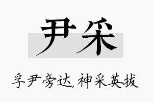 尹采名字的寓意及含义