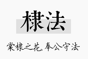 棣法名字的寓意及含义