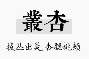 丛杏名字的寓意及含义