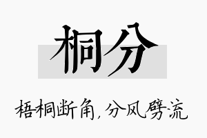 桐分名字的寓意及含义