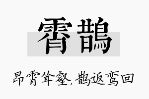 霄鹊名字的寓意及含义