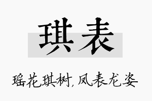 琪表名字的寓意及含义