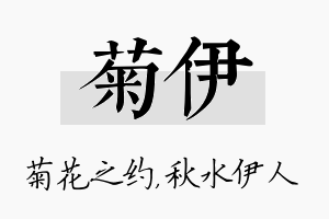 菊伊名字的寓意及含义