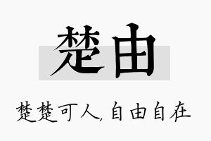 楚由名字的寓意及含义