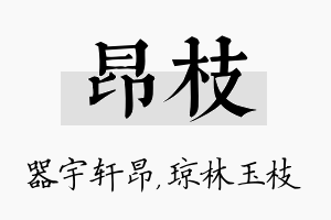 昂枝名字的寓意及含义