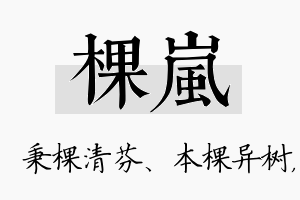 棵岚名字的寓意及含义