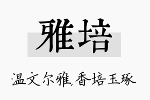 雅培名字的寓意及含义