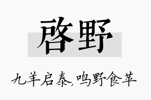 启野名字的寓意及含义