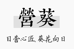 营葵名字的寓意及含义