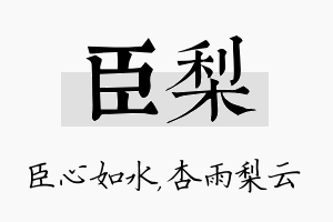 臣梨名字的寓意及含义